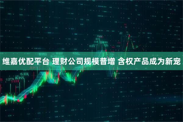 维嘉优配平台 理财公司规模普增 含权产品成为新宠