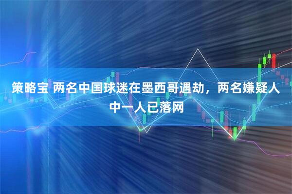 策略宝 两名中国球迷在墨西哥遇劫，两名嫌疑人中一人已落网